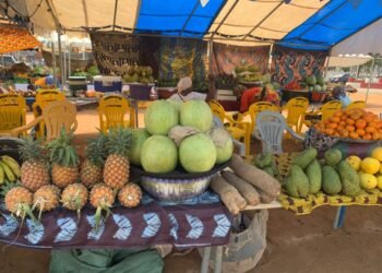 Ratoma : la 2ème édition de la FOCOPAR ouvre ses portes pour soulager le panier de la ménagère